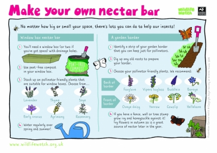 nectar bar