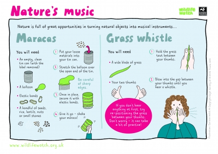 Nature's music activity sheet 