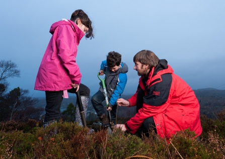 tree planting