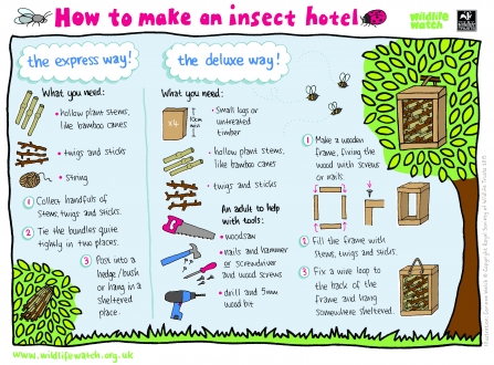 insect hotel