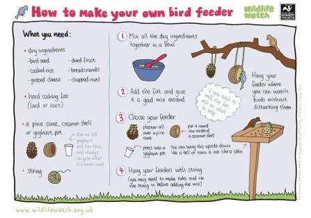 bird feeder