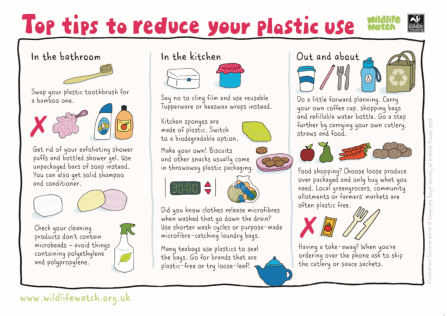 reduce plastic