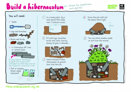 hibernaculum