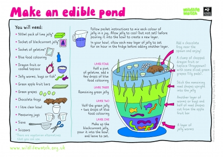 edible pond