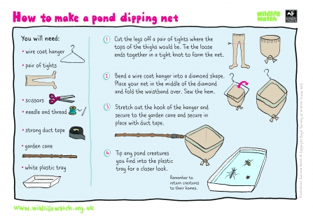 pond dipping net