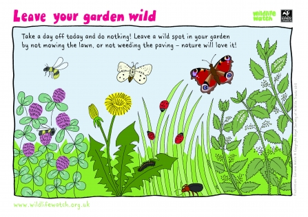 wild garden