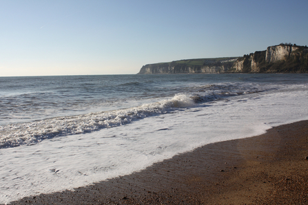 Looking out over Seaton beach