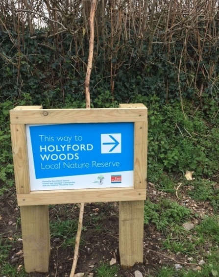 Holyford Woods, Seaton