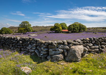 Emsworthy Nature Reserve