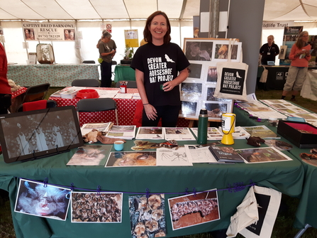 Bat Project Yealmpton show stand