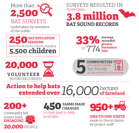 Bat project statistics