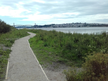 View of River Tamar and bridges from path on Ernesettle Creek Local Nature Reserve