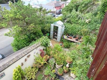 Garden in South Devon