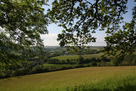 Woodah Farm view from woodland