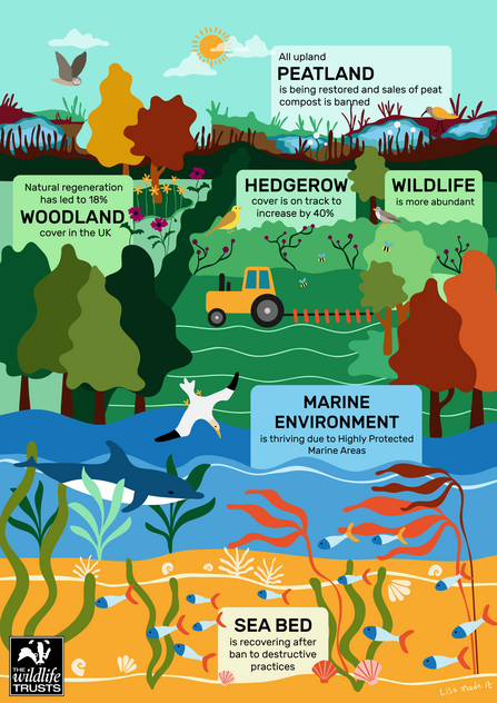 Graphic of future vision for UK environment if Government 30by30 pledge is achieved