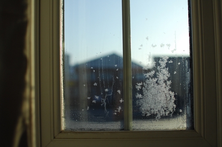 cold window