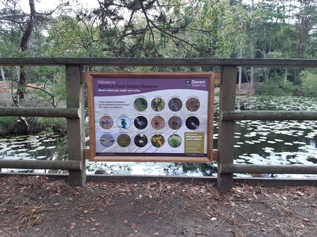 New information panel on local wildlife, installed at Bystock Pools
