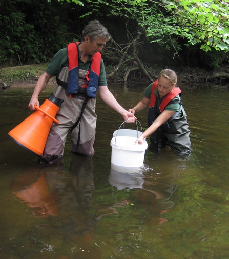 Izzy Moser in river during Freshwater Pearl Mussel release