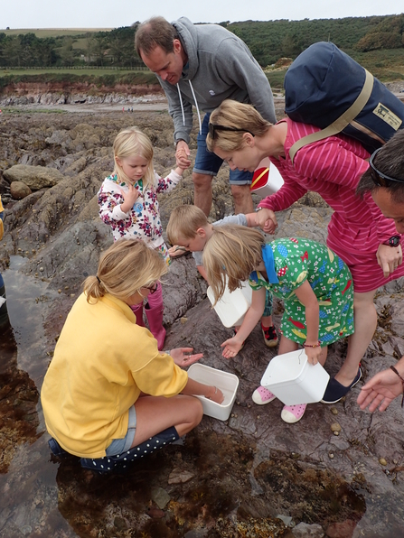 Family rockpooling at Wembury beach