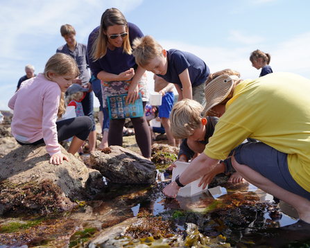 Volunteer leading a group on a rockpool safari