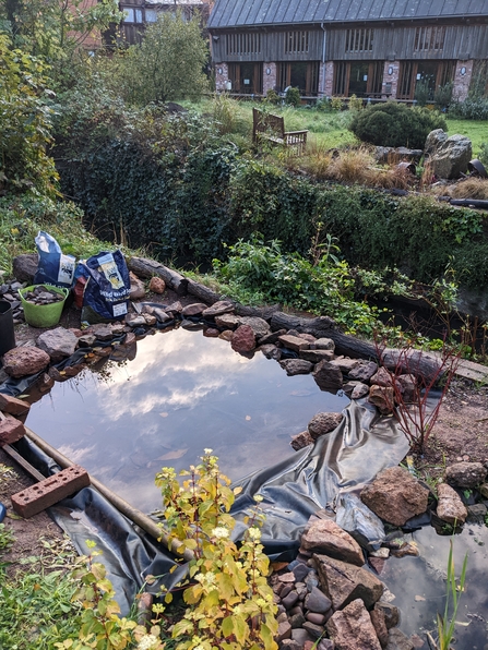 Pond filled with water in garden