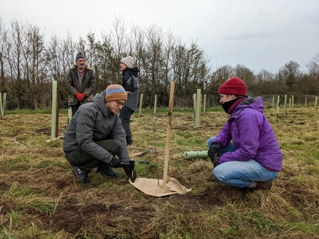 People planting trees and fixing mulch matt to ground