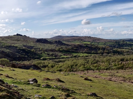 East Dartmoor Landscape