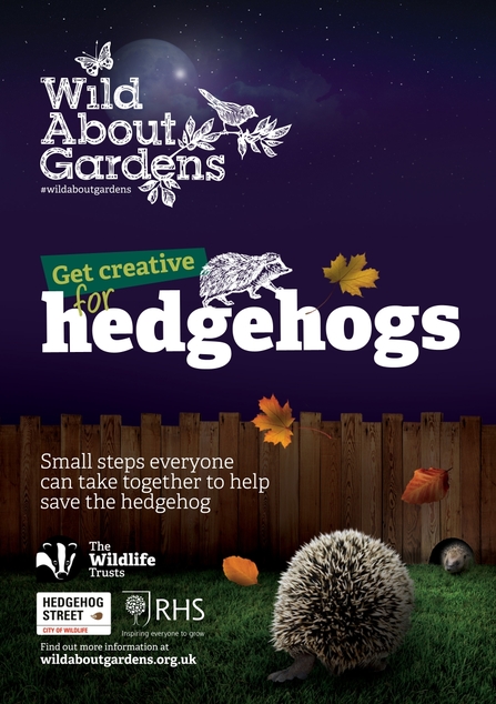 Wild about gardens - hedgehogs (cover)