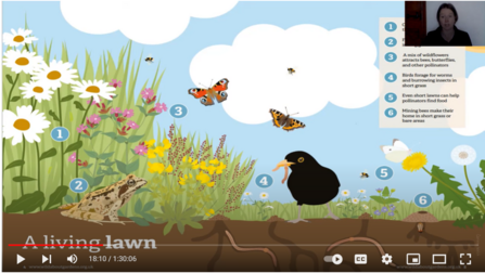 Wildlife gardening webinar screenshot