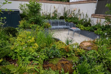Renters' Retreat garden winner of RHS Hampton Court garden award