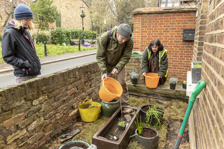 Three people standing around a small container which is being filled with water and aquatic plants in an urban community for wildlife