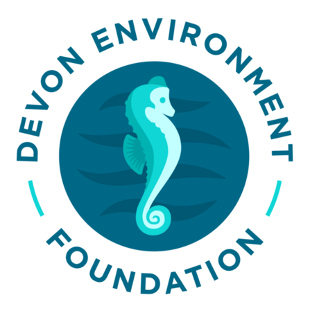 Devon Environment Foundation logo