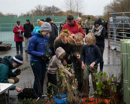 Family gathered around buckets of young trees in large open outdoor area