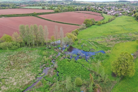 Bird's eye view of beaver wetland