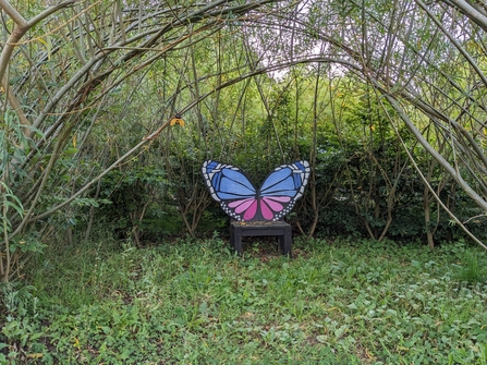 Butterfly artwork in a green area with hedges in the background and a willow arch over head