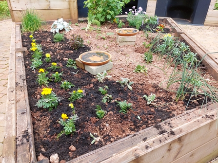 Flower bed