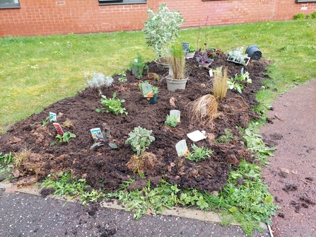 Sensory plant bed 