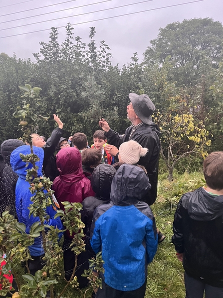 A man showing a group of children different tree species