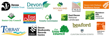 Logos of partner organisations with Saving Devon's Treescapes