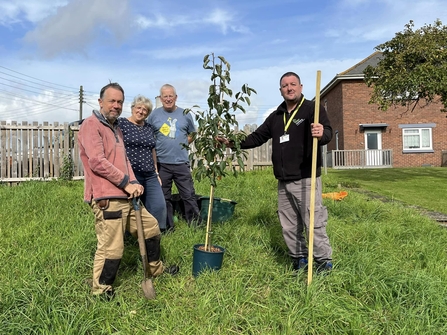 A group of people standing around a tree sapling in a green space near houses