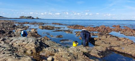 Surveying on Alderney 