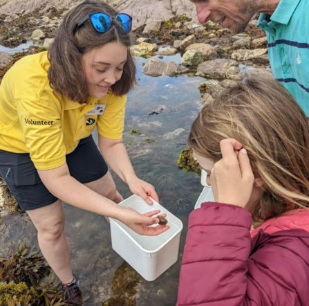 Eleanor Goodall rockpooling