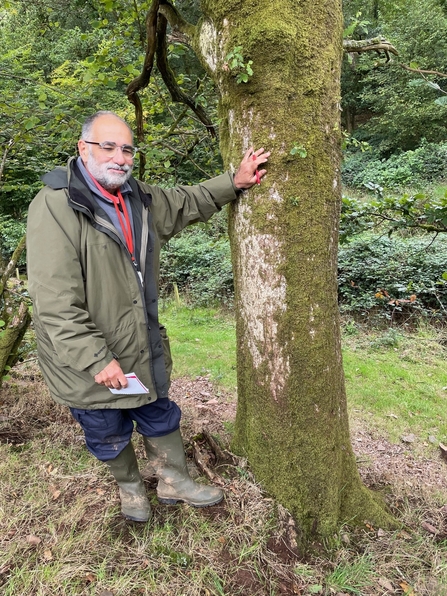 Fred GIbson with tree