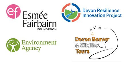 logos for Esmee Fairbairn Foundation, Devon Resilience Innovation Project, Environment Agency, Devon Beaver & Wildlife Tours