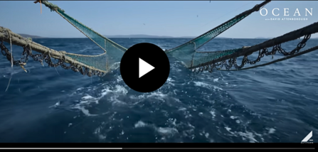 ocean Film shot with video play button