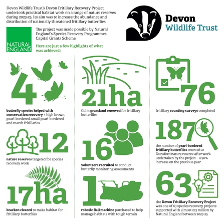 an infographic of the projects highlights