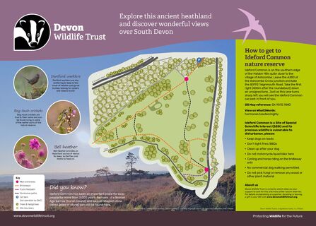 the interpretation panel of Ideford Common including a map of the paths, location and animal facts