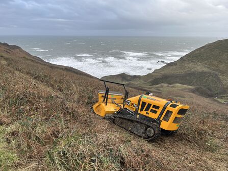 a yellow robotic flail working on the steep hillside above the ocean