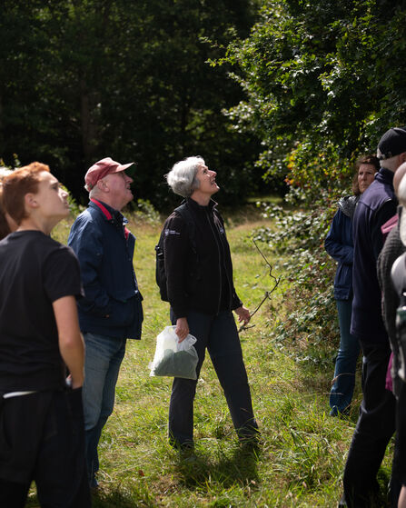 Lindsay guiding a public group in citizen science and tree ID, all looking up at at tree