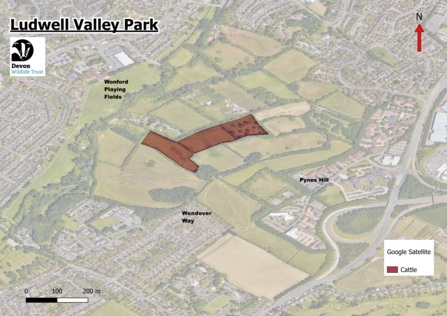 map of the cattle location at ludwell valley park April 26.